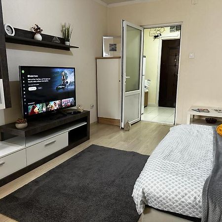 Reeas Apartament ティミショアラ エクステリア 写真