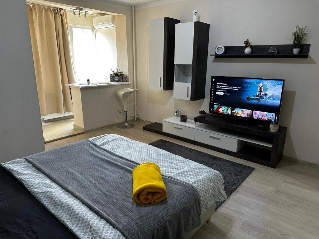 Reeas Apartament ティミショアラ エクステリア 写真