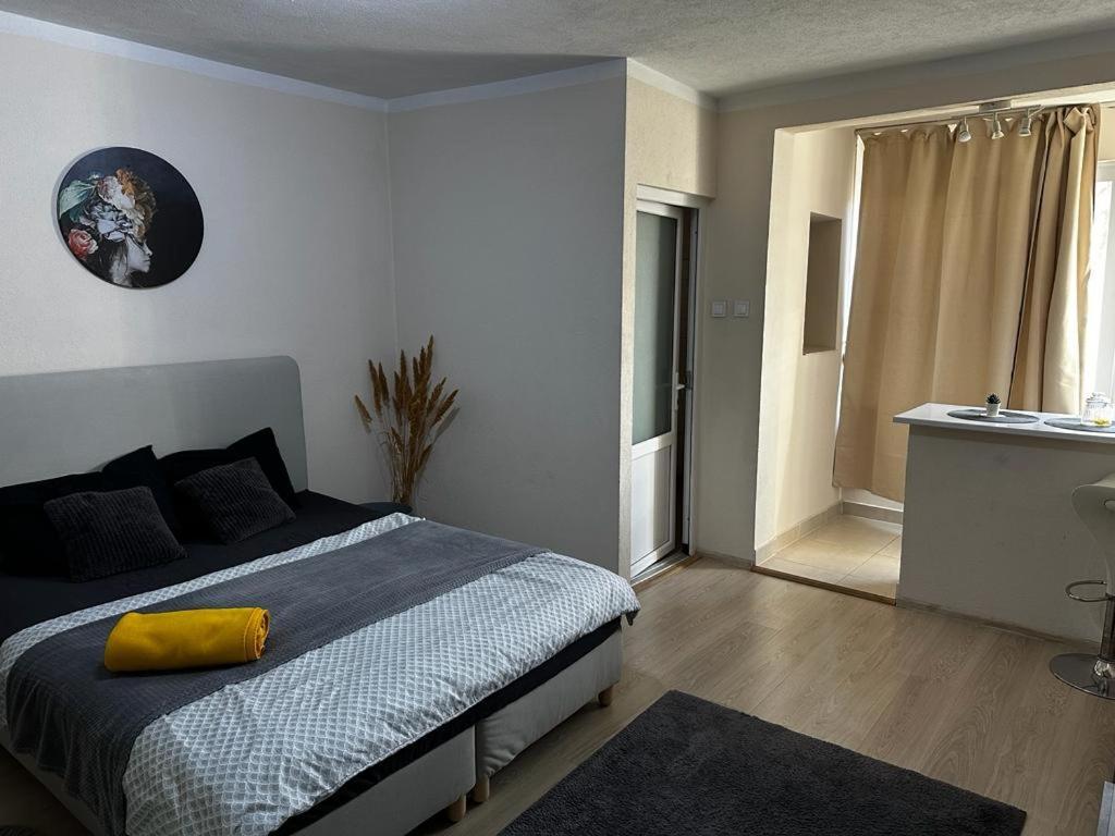 Reeas Apartament ティミショアラ エクステリア 写真
