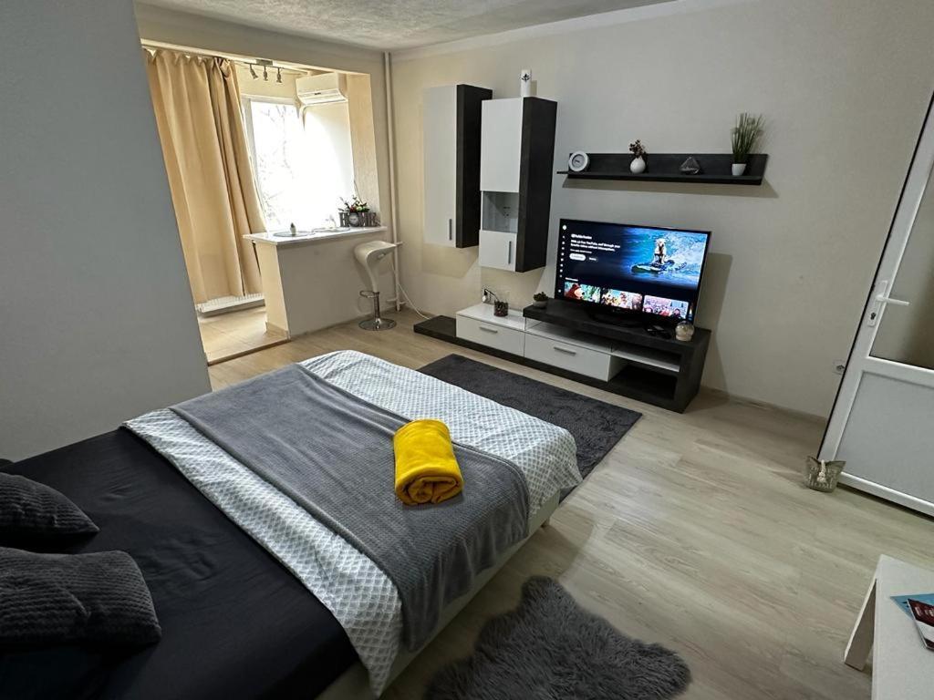 Reeas Apartament ティミショアラ エクステリア 写真