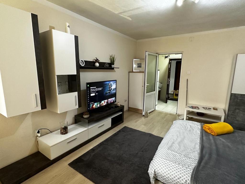 Reeas Apartament ティミショアラ エクステリア 写真