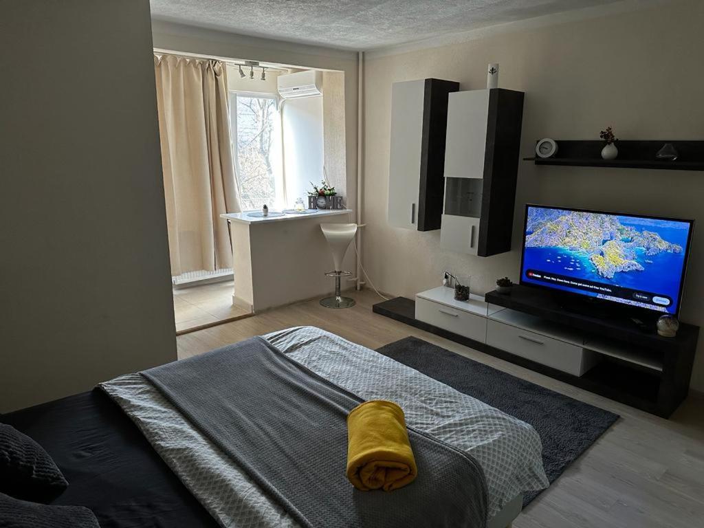 Reeas Apartament ティミショアラ エクステリア 写真