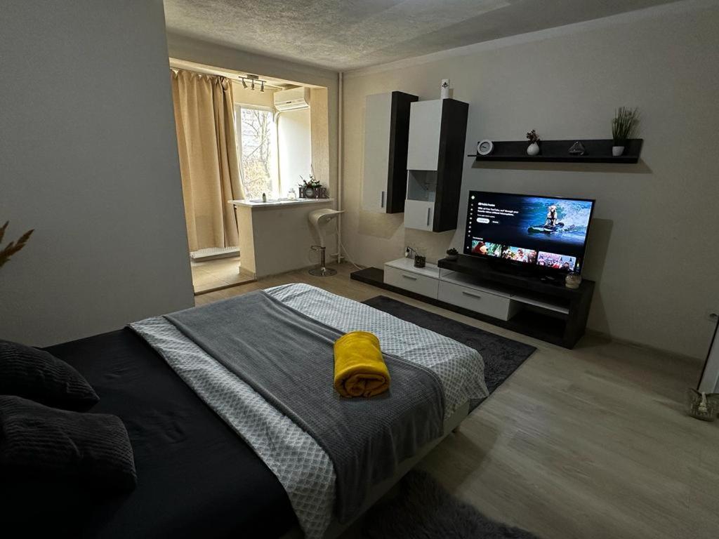 Reeas Apartament ティミショアラ エクステリア 写真