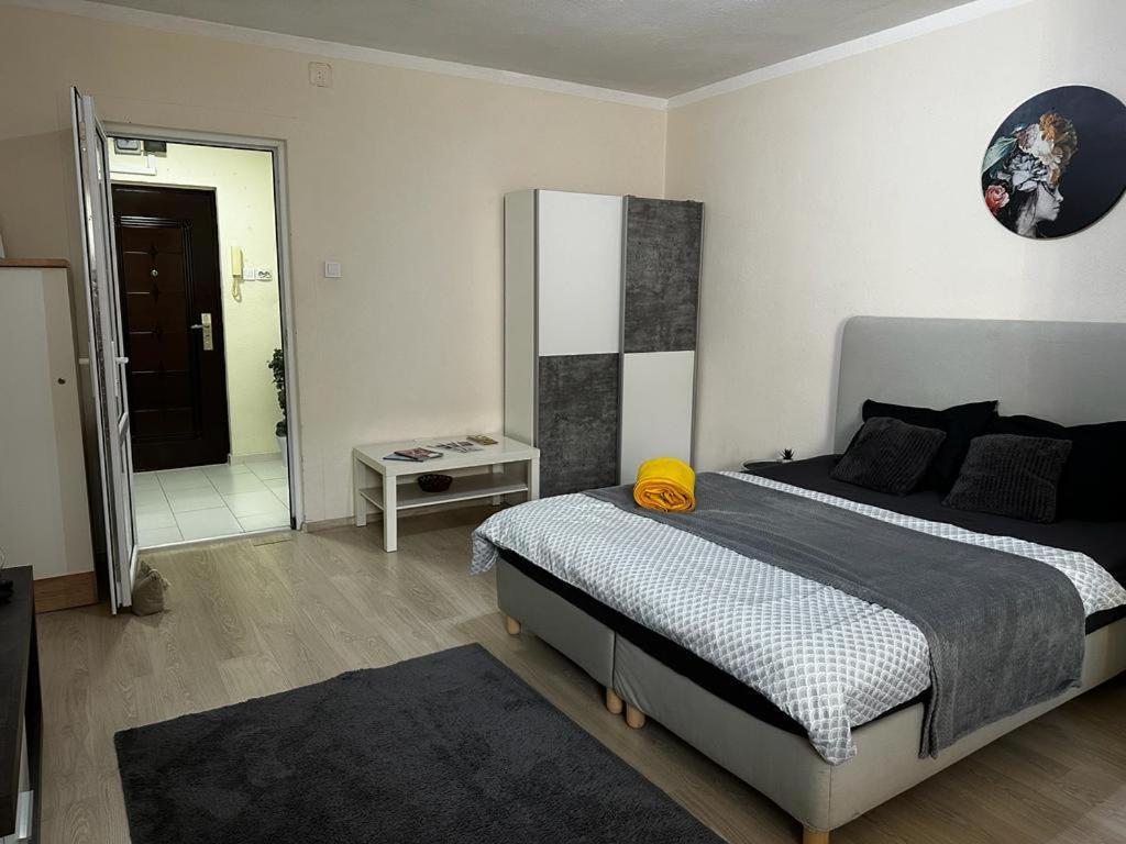 Reeas Apartament ティミショアラ エクステリア 写真