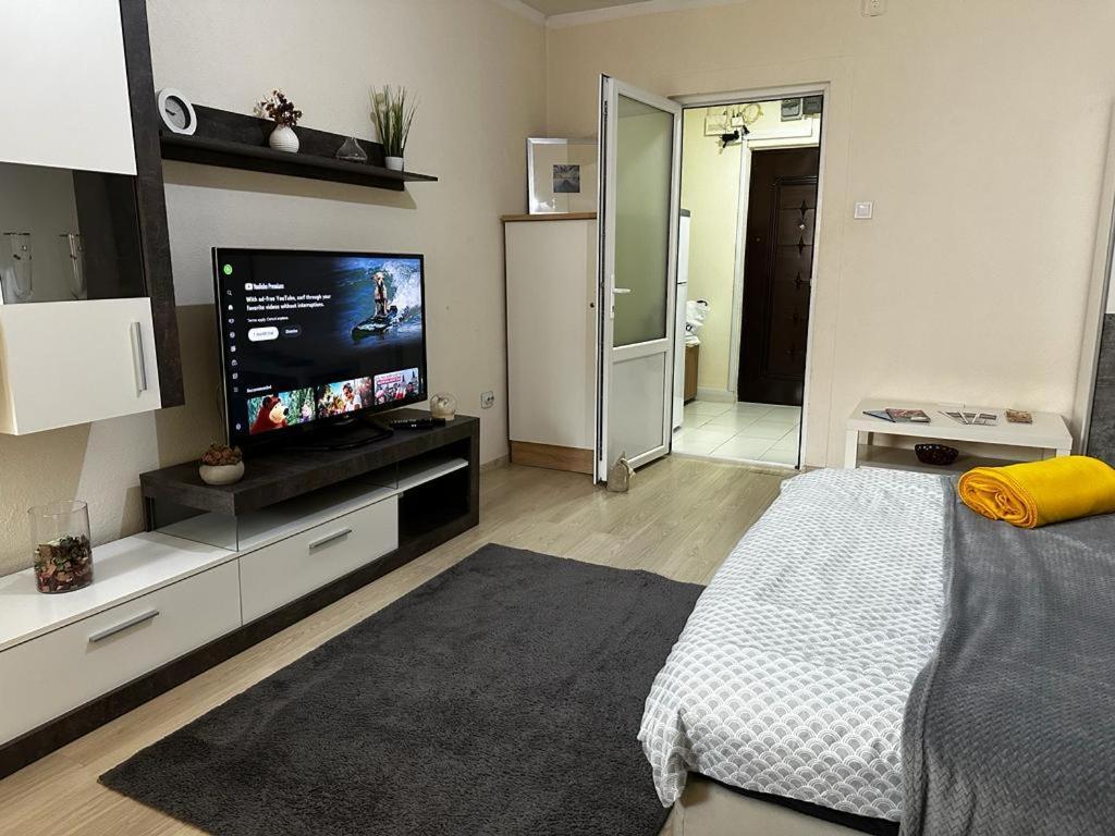 Reeas Apartament ティミショアラ エクステリア 写真