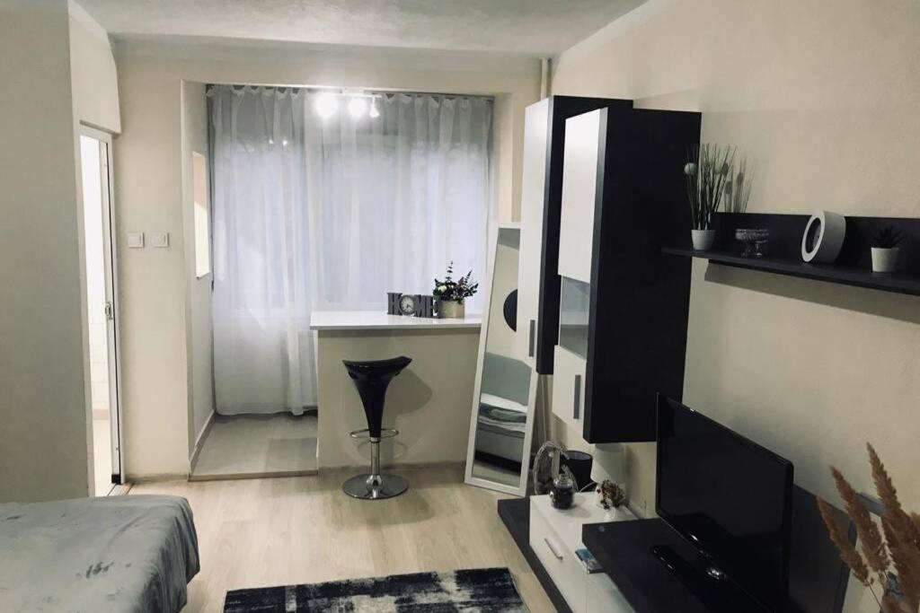 Reeas Apartament ティミショアラ エクステリア 写真